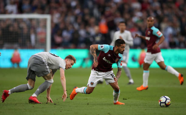 他们代表了 他们代表了