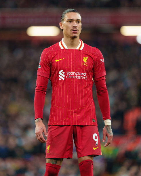 样一个引人 样一个引人